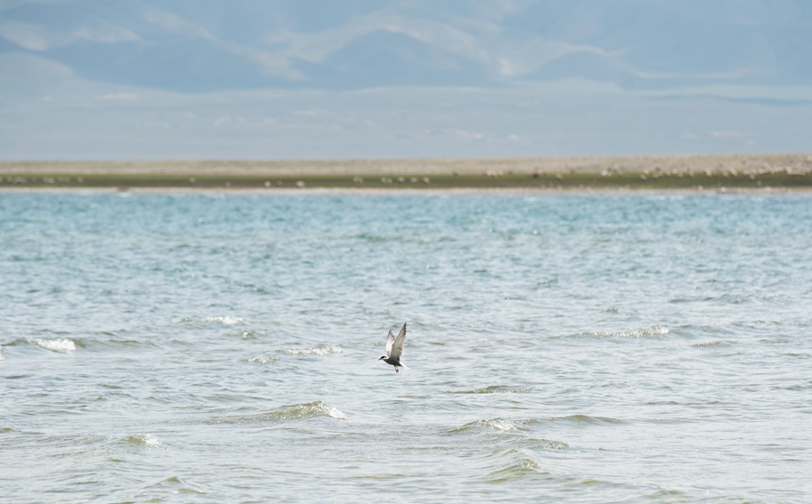 _dsc5282.jpg