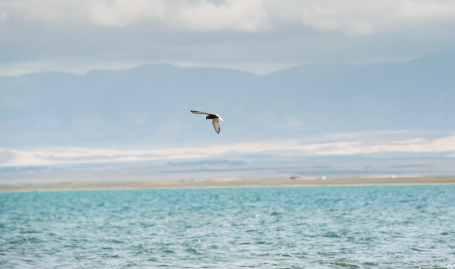 _dsc5287.jpg