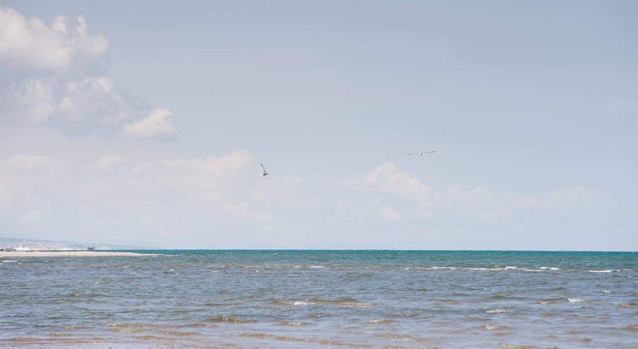 _dsc5294.jpg