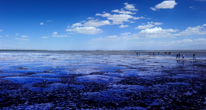 dsc_1903a.jpg