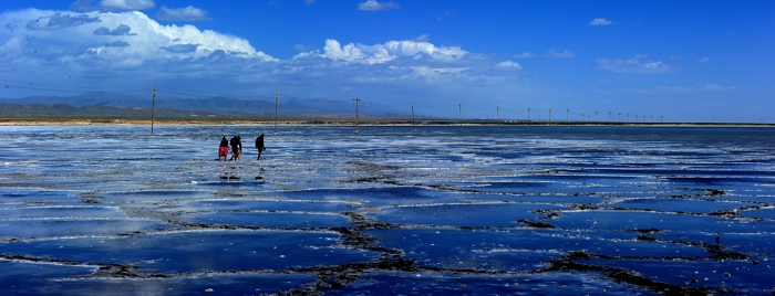 dsc_1911a.jpg