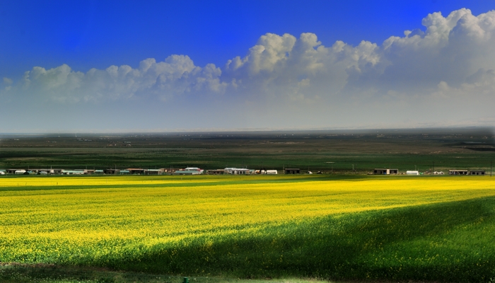 dsc_1720a.jpg