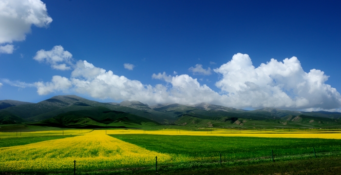 dsc_1738a.jpg