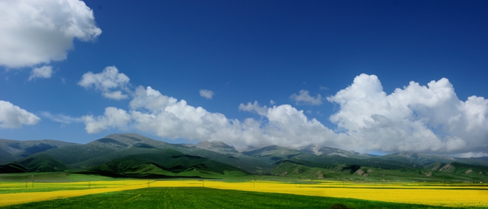 dsc_1739a.jpg