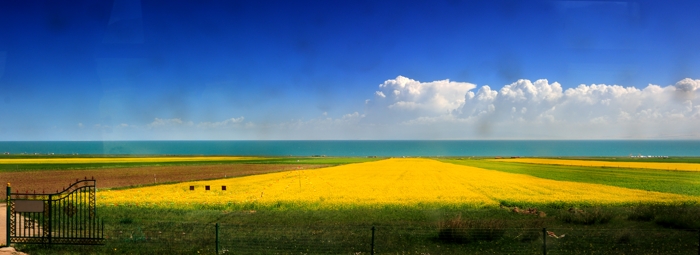 dsc_1761a.jpg