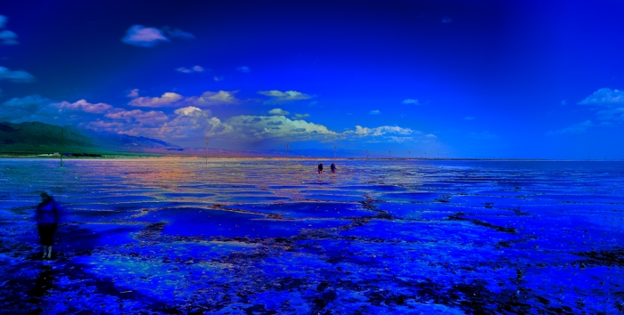 dsc_1912a.jpg
