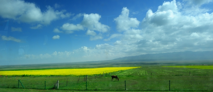 dsc_1713a.jpg