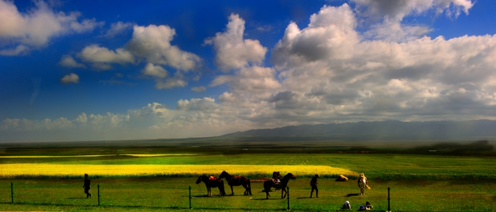 dsc_1712a.jpg