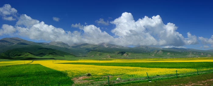 dsc_1737a.jpg