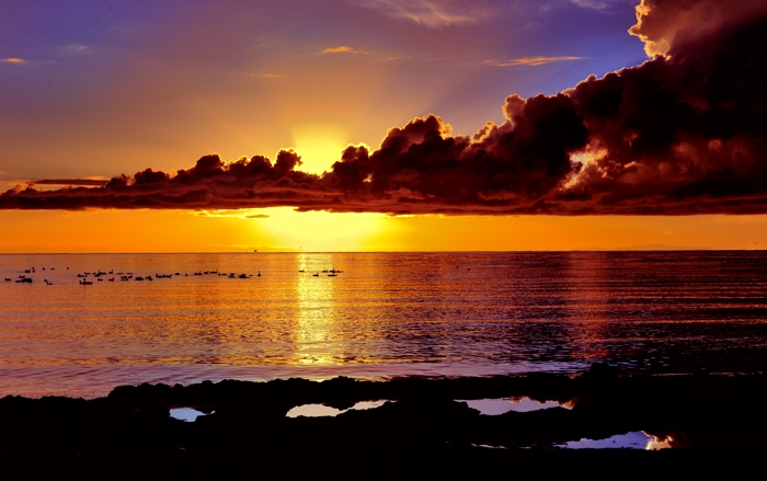 dsc_2130a.jpg
