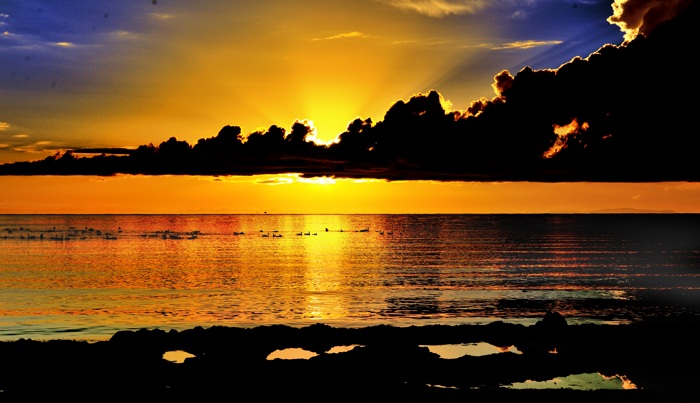dsc_2134a.jpg