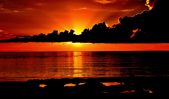 dsc_2135a.jpg