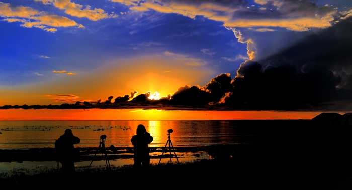 dsc_2137a.jpg