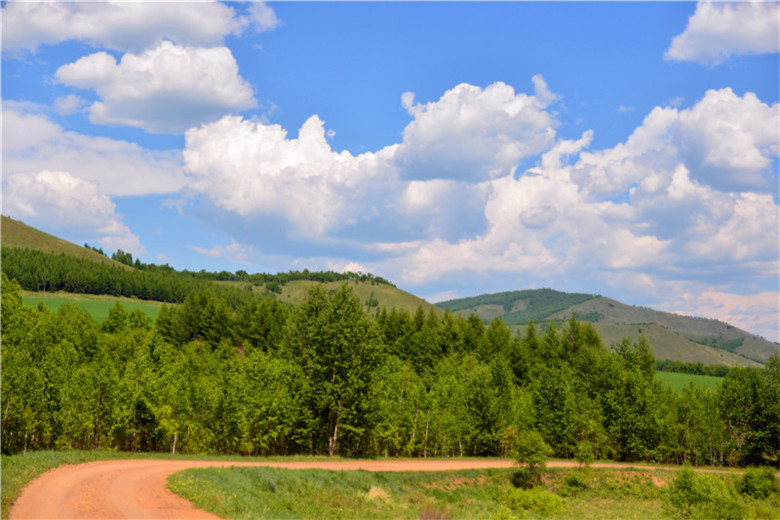 dsc_3487.jpg