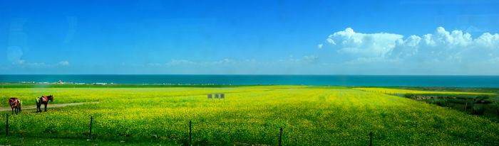 dsc_1765a.jpg