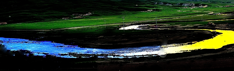 dsc_2004a.jpg