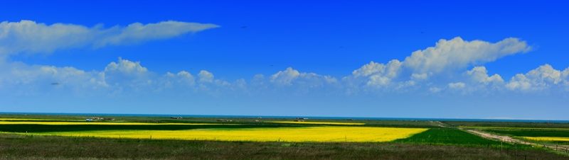 dsc_1798a.jpg