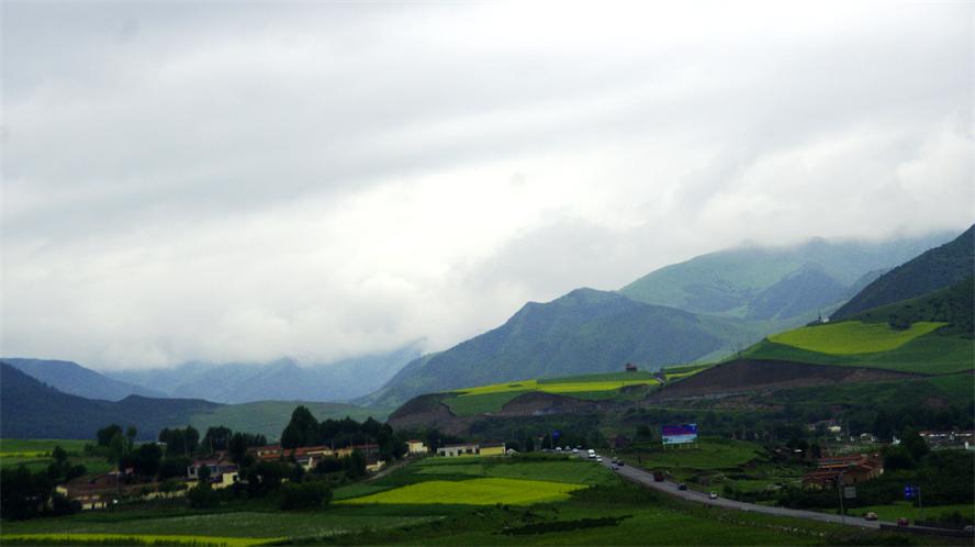 _igp0781.jpg