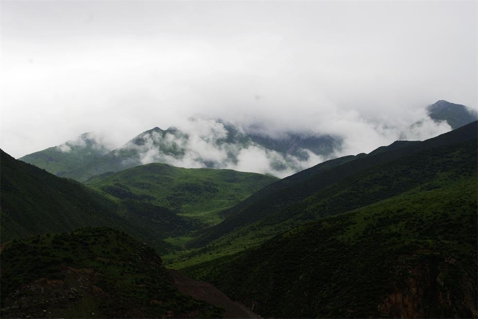 _igp0791.jpg