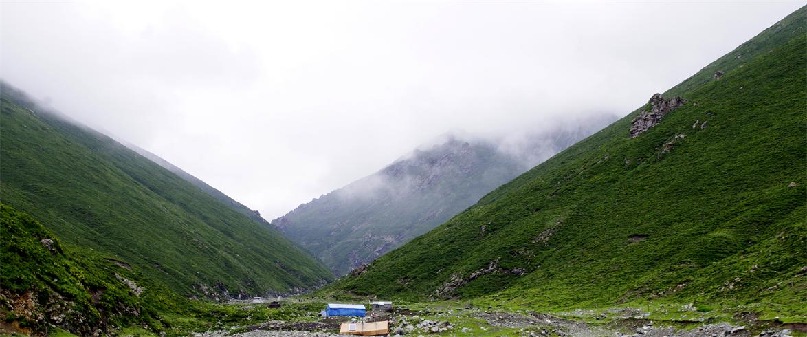 _igp0833.jpg