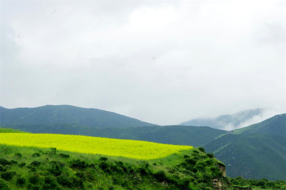 _igp0805.jpg