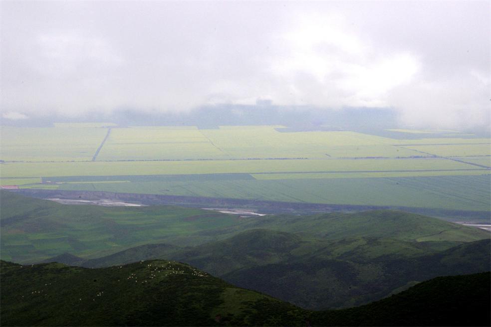 _igp0912.jpg