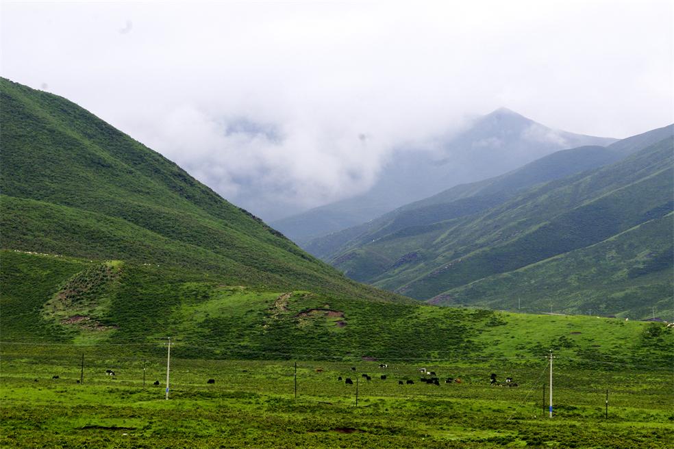 _igp0965_.jpg