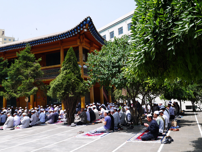p1180125_.jpg