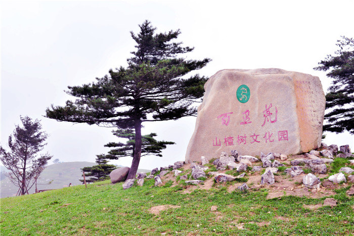dsc_5672_副本.jpg