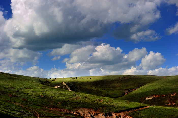 dsc_1948a.jpg
