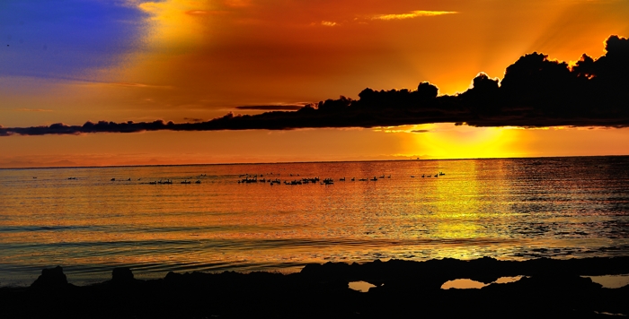 dsc_2124a.jpg