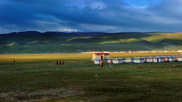 dsc_2141a.jpg