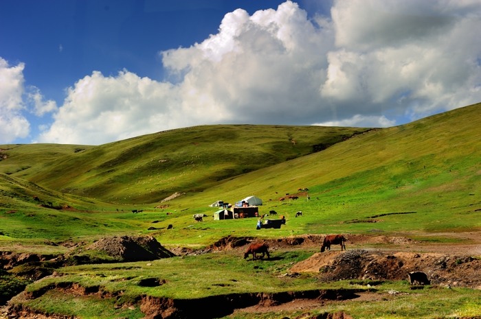 dsc_1939a.jpg