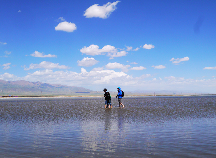 p1180226_.jpg