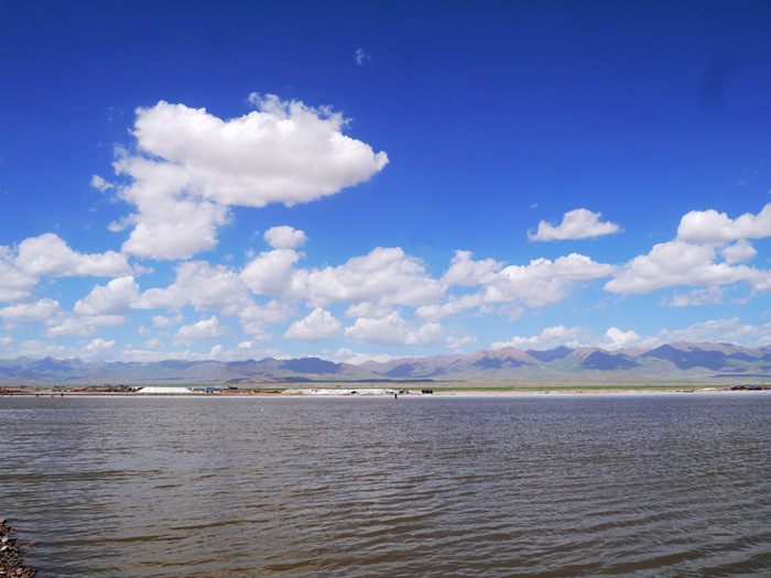 p1180255_.jpg