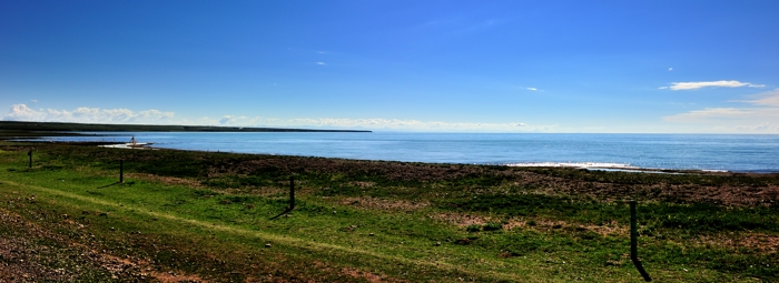dsc_2190a.jpg