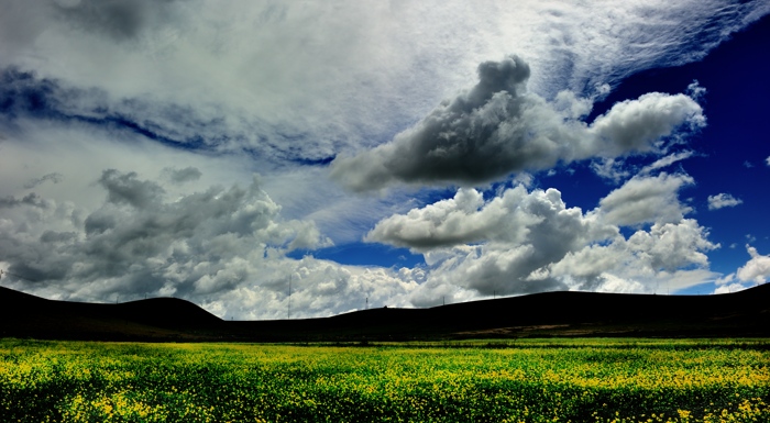 dsc_2203a.jpg