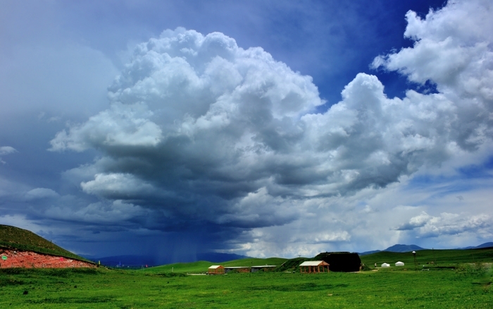 dsc_2229a.jpg