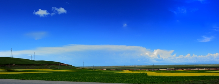 dsc_2208a.jpg