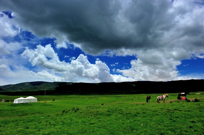 dsc_2237a.jpg