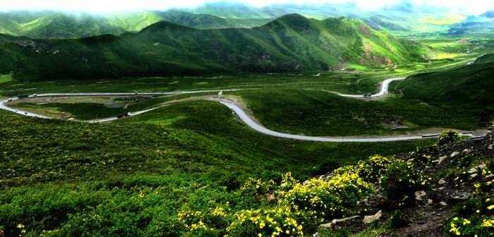 dsc_2288a.jpg