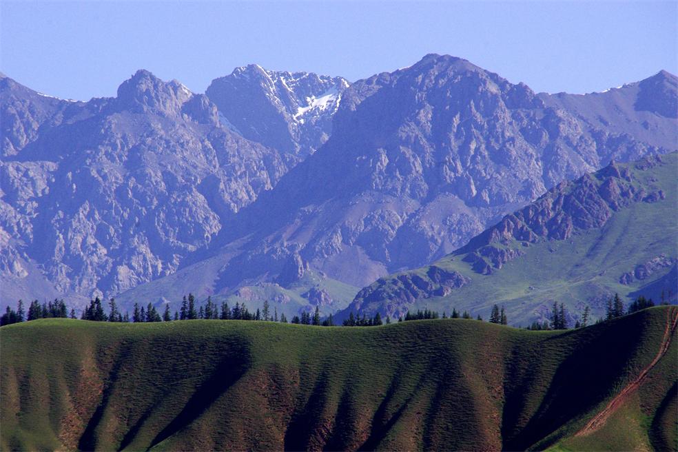 _igp1833_.jpg