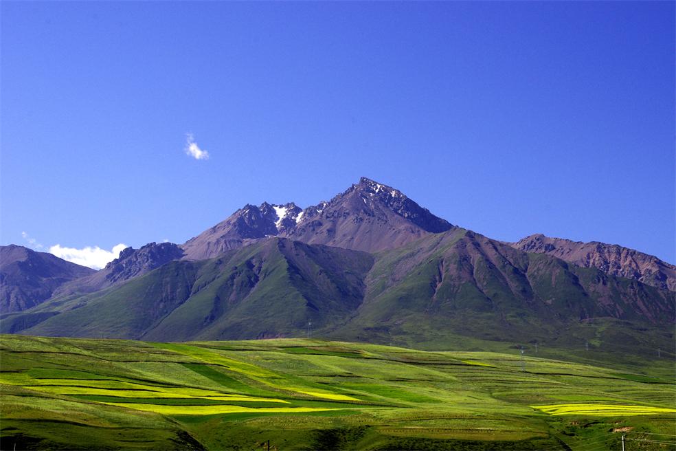 _igp1854_.jpg