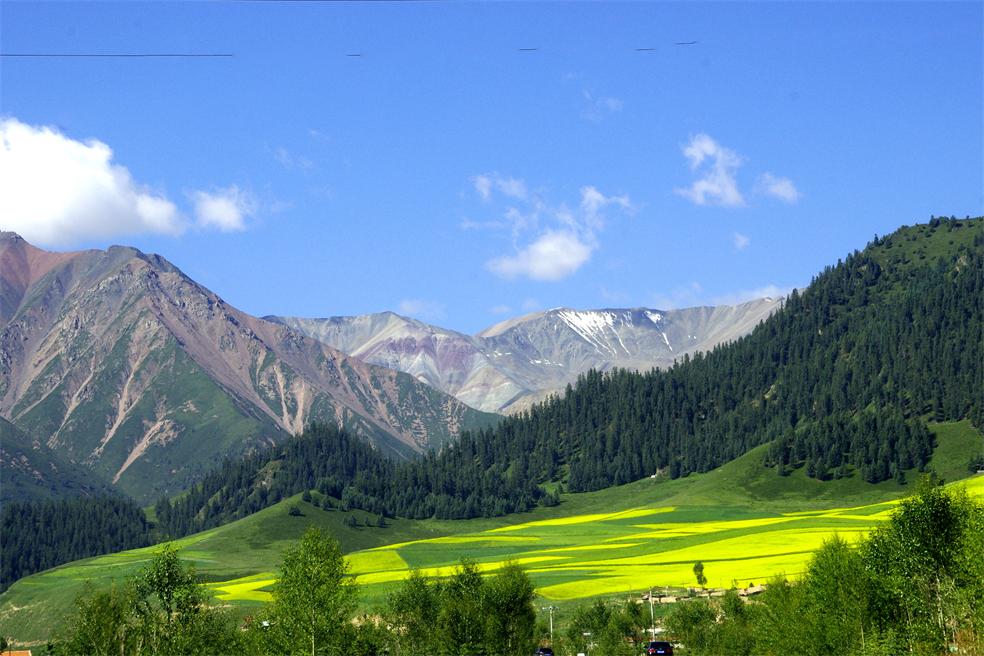 _igp1858_.jpg