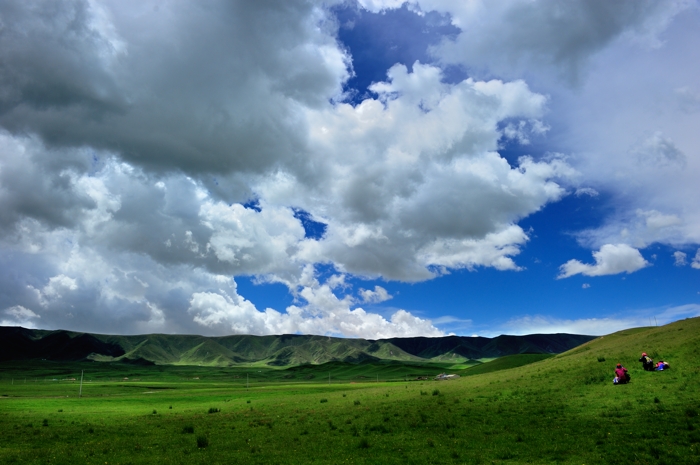 dsc_2233a.jpg