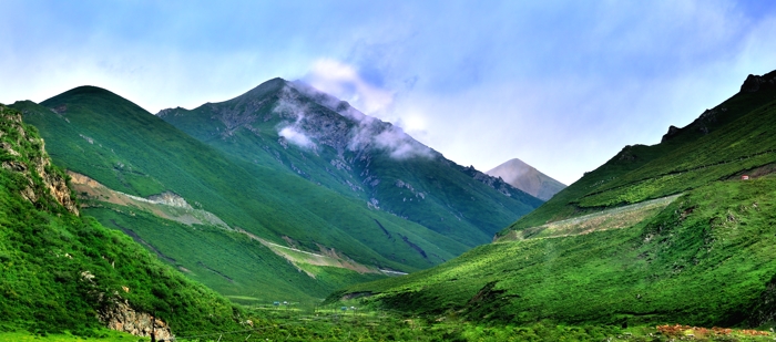 dsc_2251a.jpg