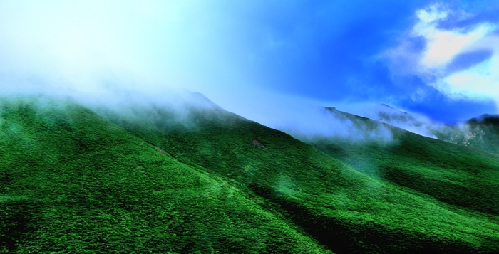 dsc_2272a.jpg