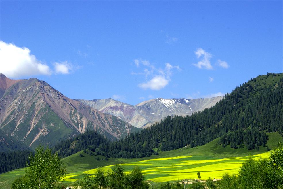 _igp1859_.jpg
