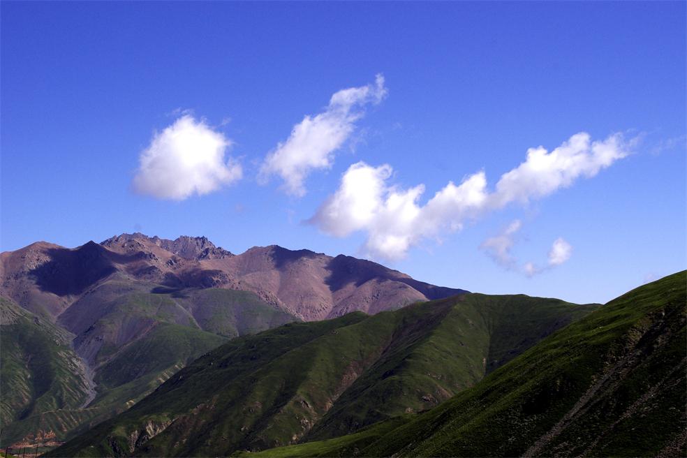_igp1876_.jpg