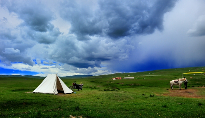 dsc_2223a.jpg